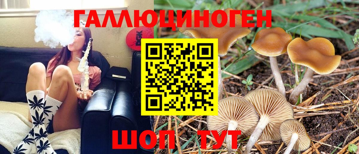 Псилоцибиновые грибы Magic Shrooms Балашов