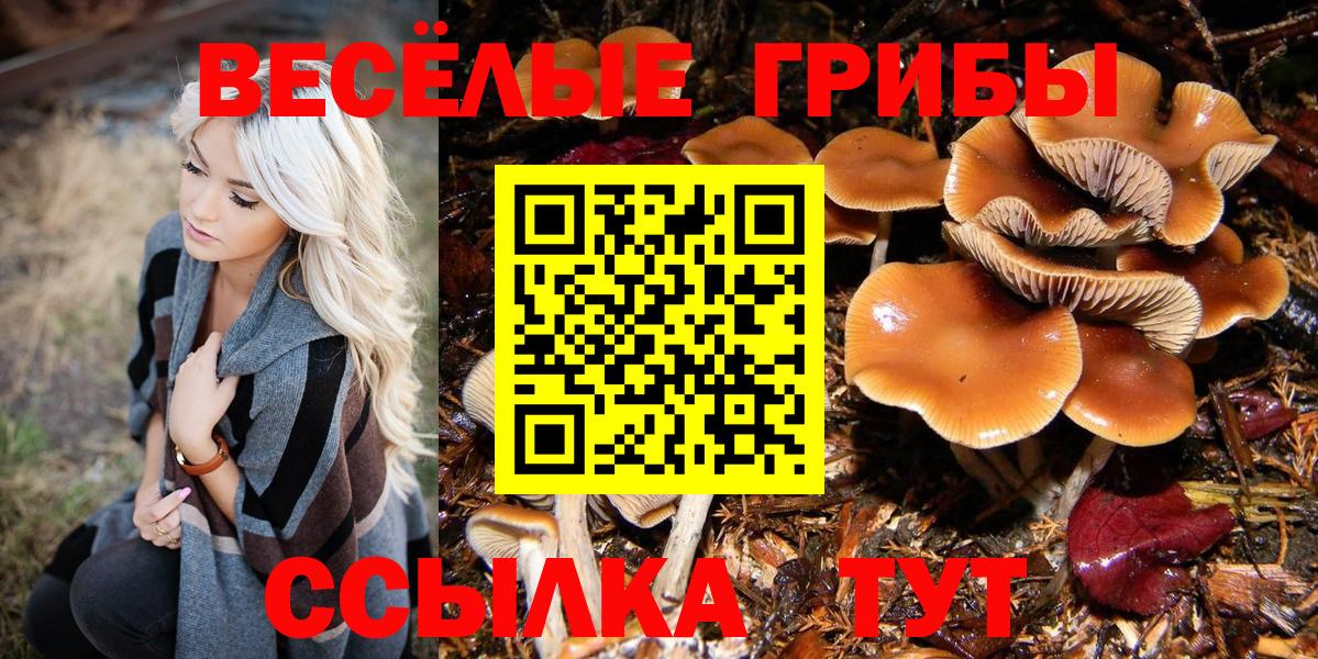 Галлюциногенные грибы ЛСД  Вход с VPN  Балашов 